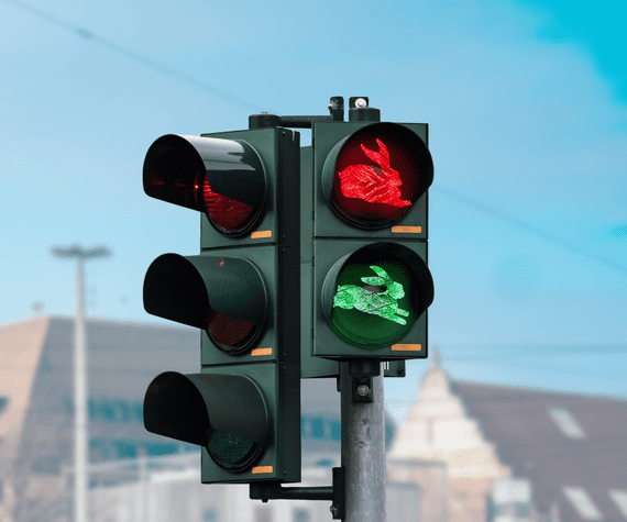 Dürer trifft Ampel!